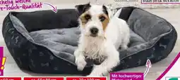 Norma Haustier-Körbchen Falco Angebot