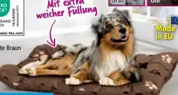 Norma Roy Haustier-Liegekissen Lupo Angebot