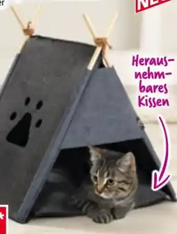 Norma Cat-Bonbon Katzen-Tipi Angebot