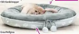 Norma Cat-Bonbon Haustier-Bettchen Sweet Dreams Angebot