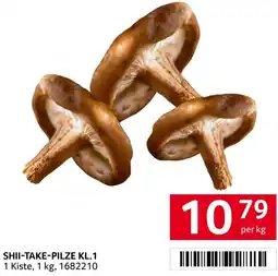 Transgourmet Shii-take-pilze Angebot