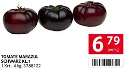 Transgourmet Tomate marazul schwarz Angebot