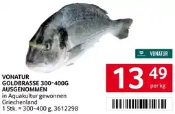 Transgourmet Goldbrasse ausgenommen Angebot