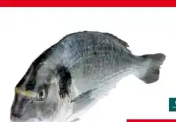 Transgourmet Vonatur Goldbrasse Angebot