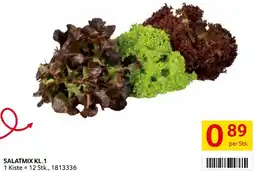 Transgourmet Salatmix Angebot