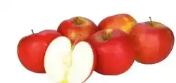 Transgourmet Economy Apfel Angebot
