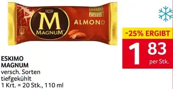 Transgourmet Magnum Angebot