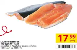 Transgourmet Lachsforellenfilet mit haut Angebot