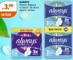 Müller Binden Bigpack Angebot