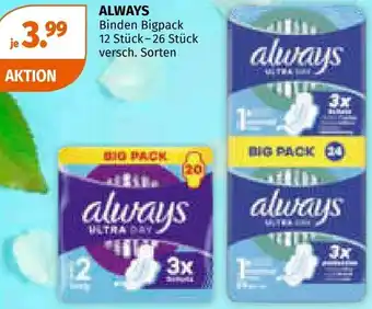 Müller Binden Bigpack Angebot