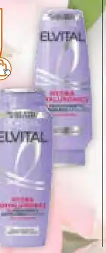 Müller L'Oréal Paris Elvital Shampoo Angebot