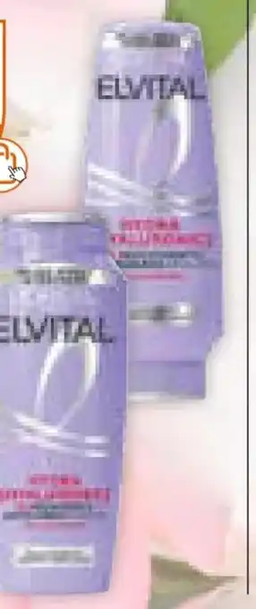 Müller L'Oréal Paris Elvital Shampoo Angebot