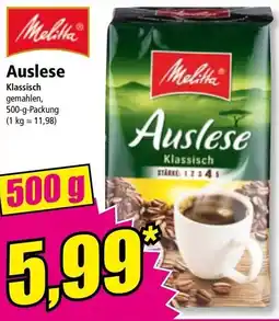 Norma Auslese Angebot