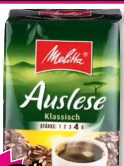 Norma Melitta Auslese Angebot