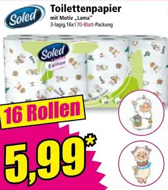 Norma Toilettenpapier Angebot