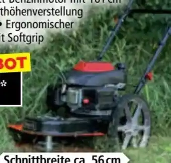 Norma Scheppach Wiesenmäher HMP161-56-288 Angebot