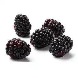 Lidl Brombeeren lidl Angebot