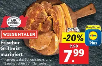 Lidl Frischer Grillmix mariniert Angebot