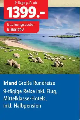 Lidl Irland Große Rundreise Angebot