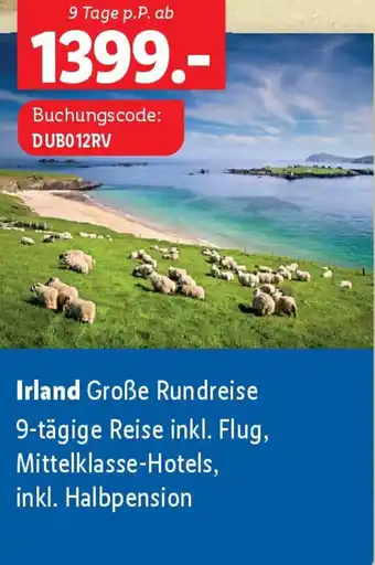 Lidl Irland Große Rundreise Angebot