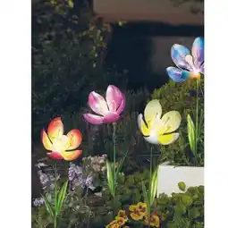 BayWa Solarleuchte „Blüte Schmetterling“ verschiedene Designs 43296008 BayWa Angebot