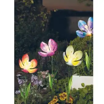 BayWa Solarleuchte „Blüte Schmetterling“ verschiedene Designs 43296008 BayWa Angebot