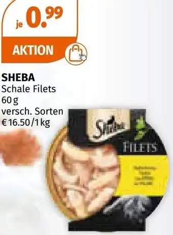 Müller Schale Filets Angebot