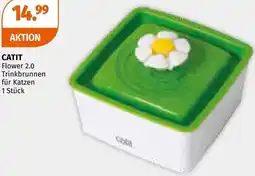 Müller Flower Trinkbrunnen für Katzen Angebot