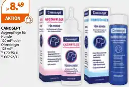 Müller Augenpflege für Hunde Angebot