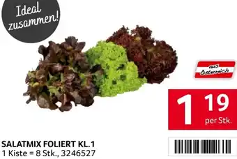 Transgourmet Salatmix foliert Angebot
