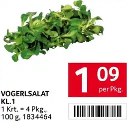 Transgourmet Vogerlsalat Angebot
