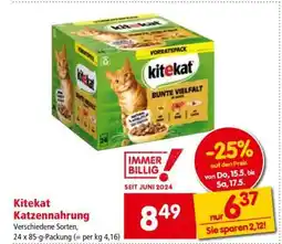 Interspar Kitekat Katzennahrung Angebot
