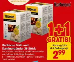 Interspar Barbecue Grill- und Kaminanzünder 36 Stück Angebot