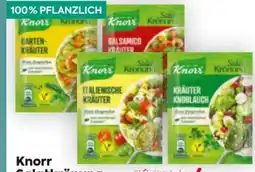 Billa Knorr Salatkrönung Angebot