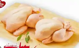 Billa Clever Hendl Duo Angebot