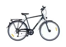 Hervis X-Fact Herren-Trekkingbike Berlin Angebot