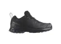 Hervis Salomon Herren Trail-Laufschuh XA Pro 3D V9 GTX Angebot