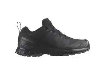 Hervis Salomon Herren Trail-Laufschuh XA Pro 3D V9 GTX Angebot