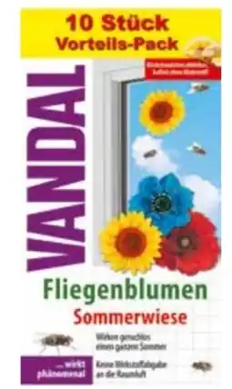 Transgourmet Vandal Fliegenblumen Sommerwiese Angebot