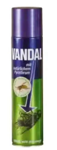 Transgourmet Vandal Insektenspray Angebot