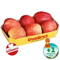 PENNY Evelina Apfeltasse Penny Angebot