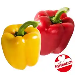 PENNY Paprika Rot od. Gelb Penny Angebot
