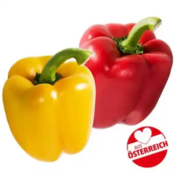 PENNY Paprika Rot od. Gelb Penny Angebot