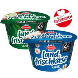 PENNY Landfrischkäse div. Sorten Penny Angebot