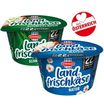 PENNY Landfrischkäse div. Sorten Penny Angebot