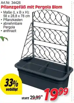 Zgonc Pflanzgefäß mit Pergola Blom Angebot