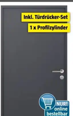 Bauhaus FM Türen Nebeneingangstür NBT56-07 Angebot