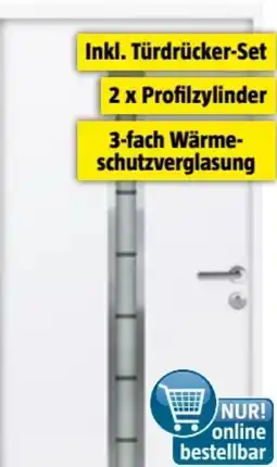 Bauhaus FM Türen Nebeneingangstür ATU68-520 Angebot