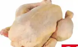 Transgourmet Hühner Grillfertig Angebot