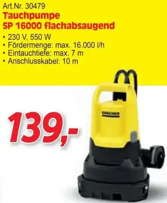 Zgonc Tauchpumpe Angebot